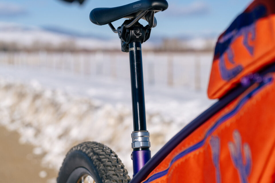 Goodday Curiosity Gila Monster, Custom Bikepacking Bike