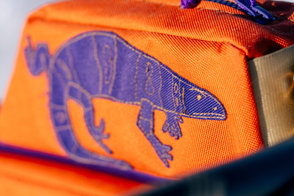 Goodday Curiosity Gila Monster, Custom Bikepacking Bike