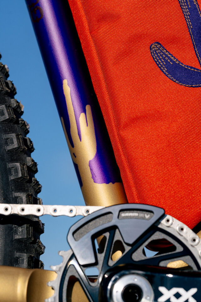 Goodday Curiosity Gila Monster, Custom Bikepacking Bike