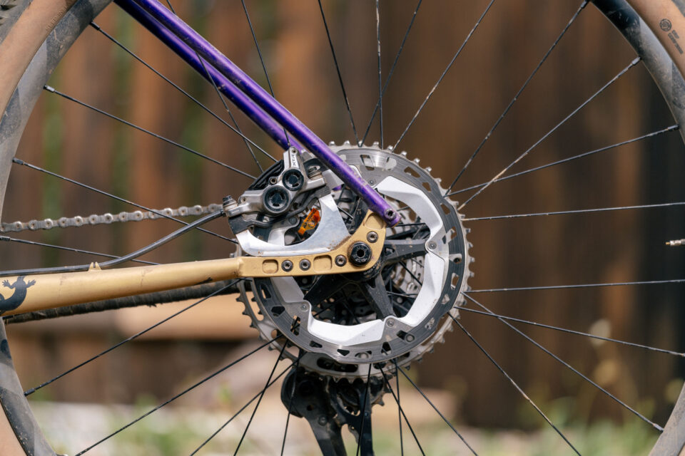 Goodday Curiosity Gila Monster, Custom Bikepacking Bike