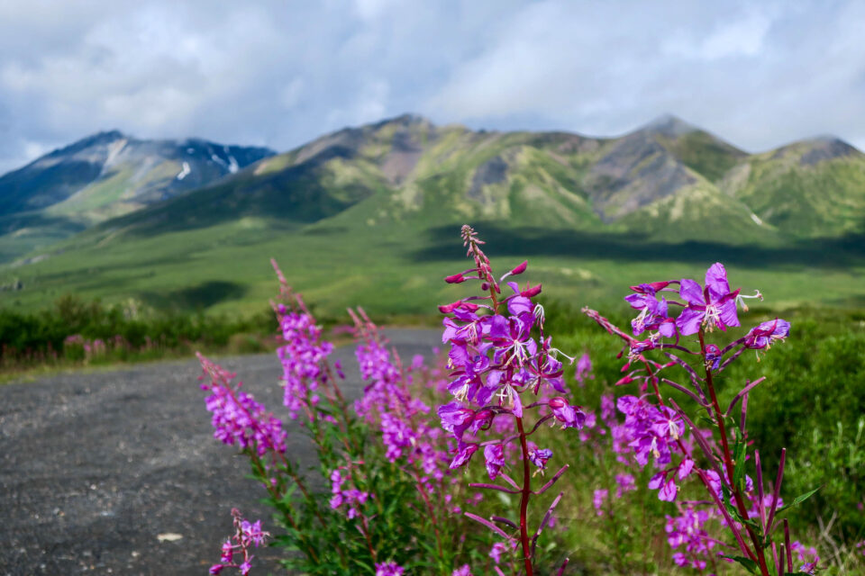 Dad and the Dempster