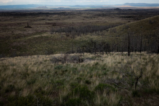 Norcal Outback Bikepacking Route