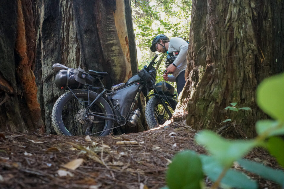 Redwood Backcountry Rambler