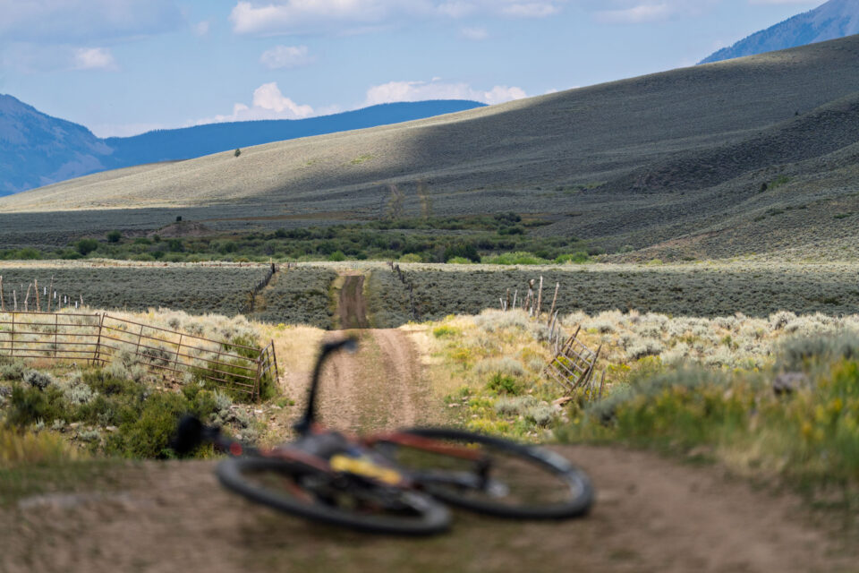Surly Straggler Review