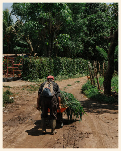 Trans Salvador Bikepacking Route
