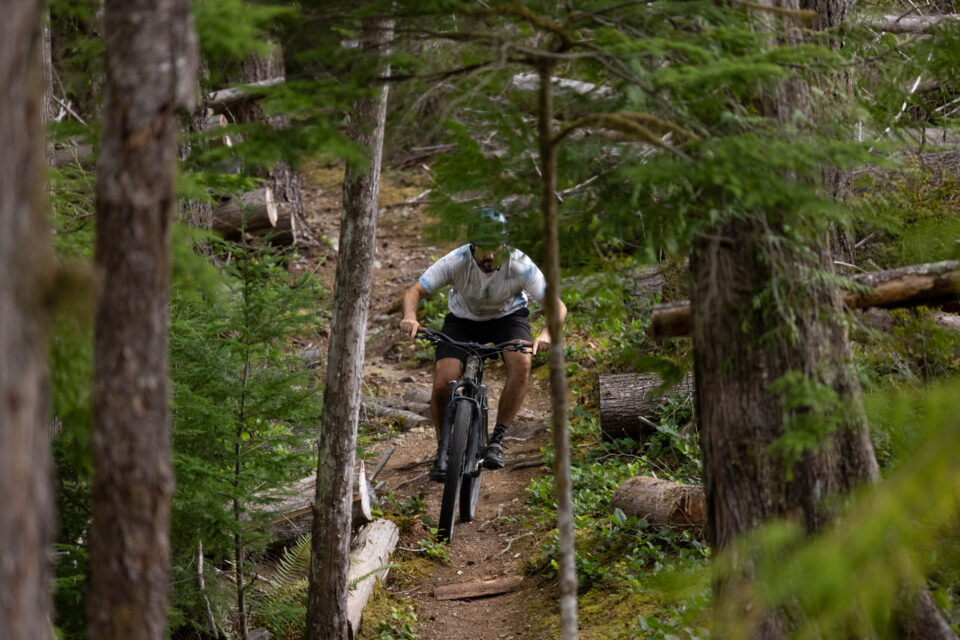 Singular spitfire review