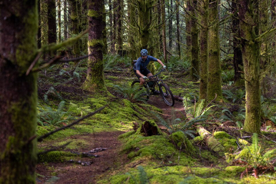 Singular spitfire review