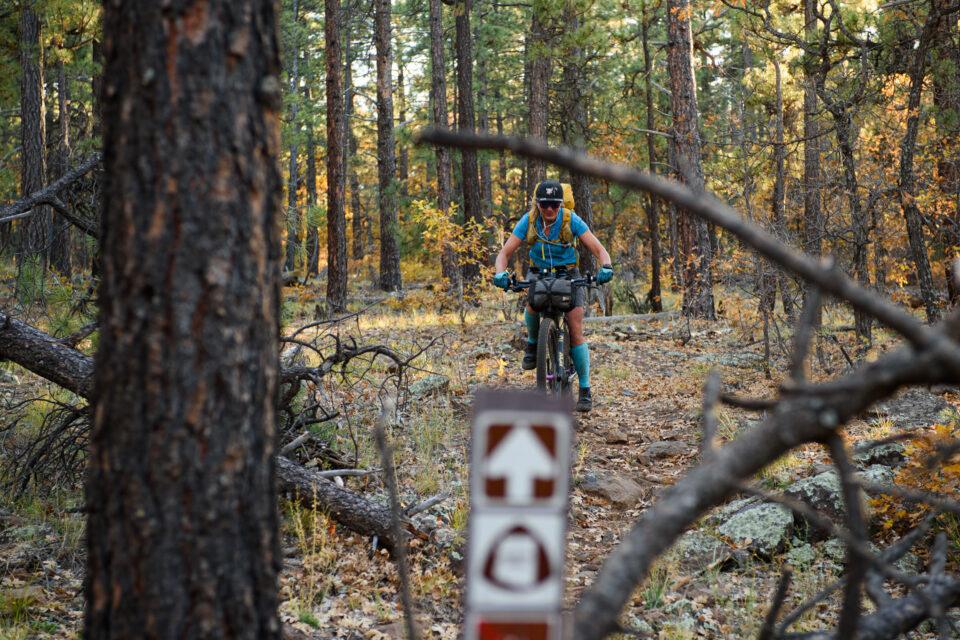 Death Mud and Cat Burgers at the 2025 Arizona Trail Race