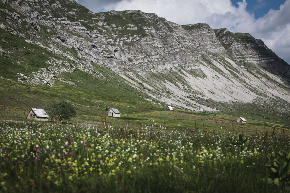 Montenegro mountain madness 2025