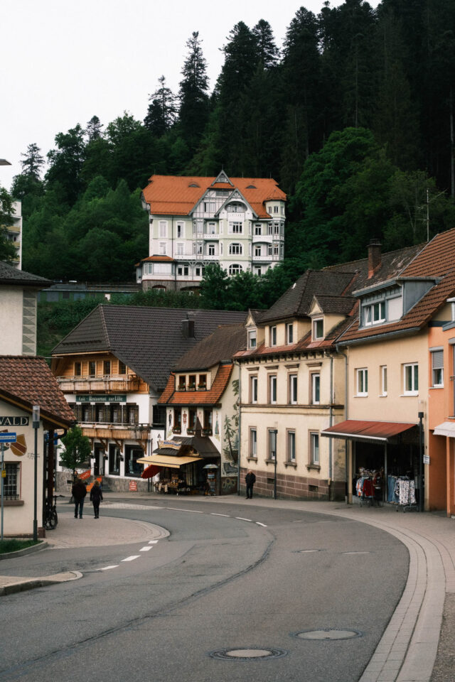 Bikepacking the Black Forest