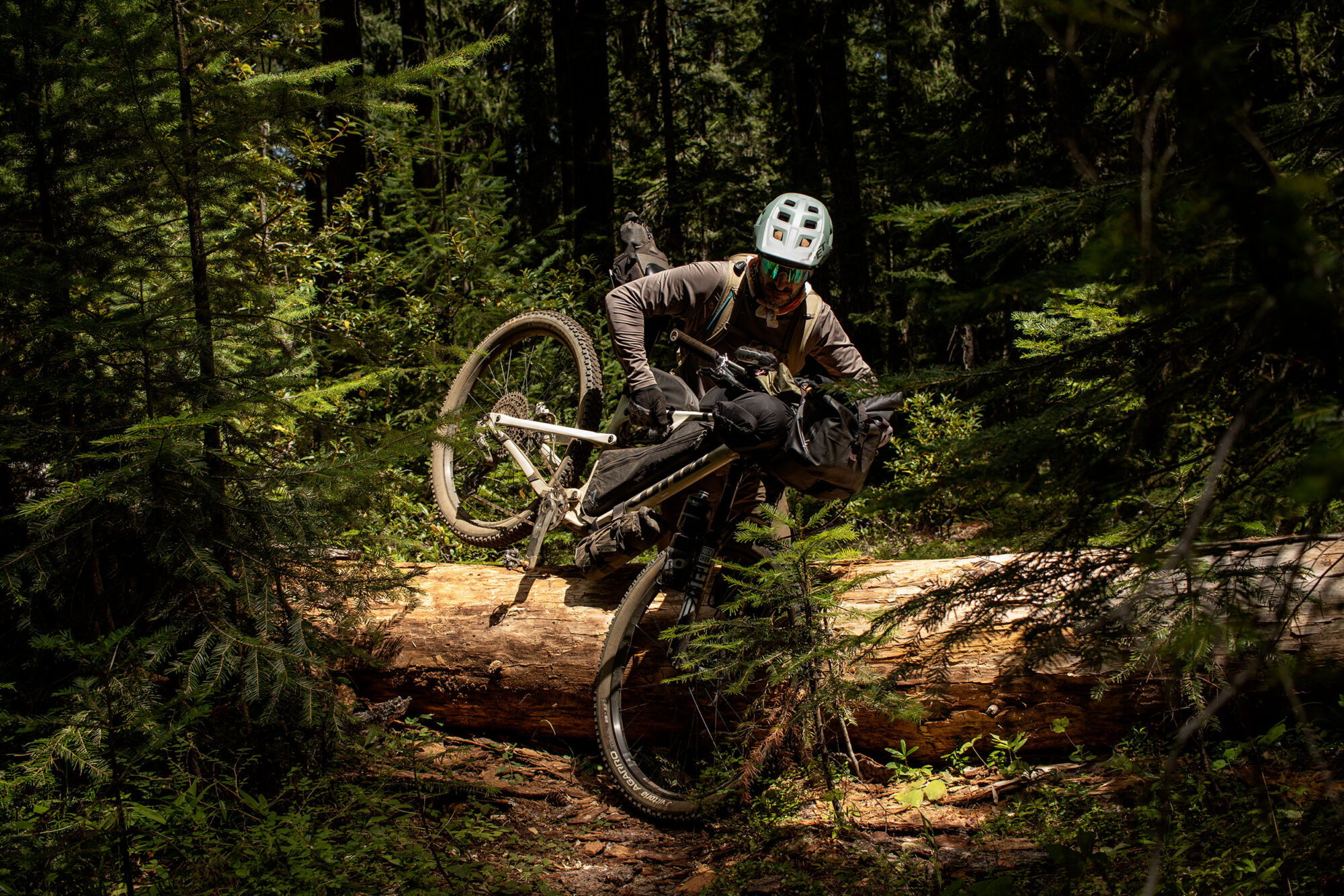 Cascadia Film Montanus