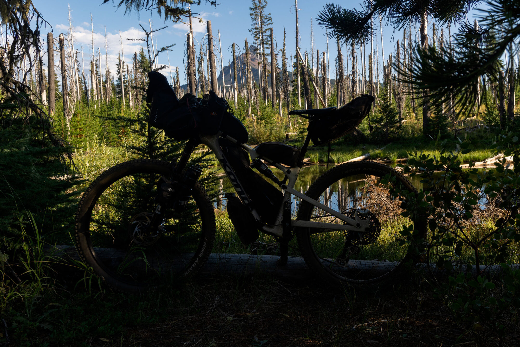 Cascadia Film Montanus
