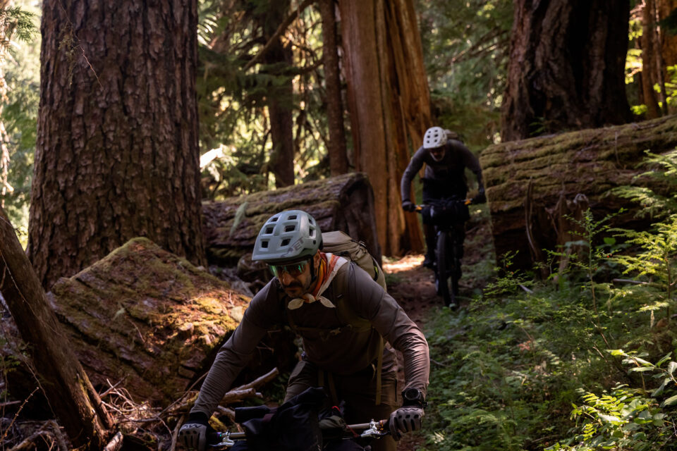 Cascadia Film Montanus