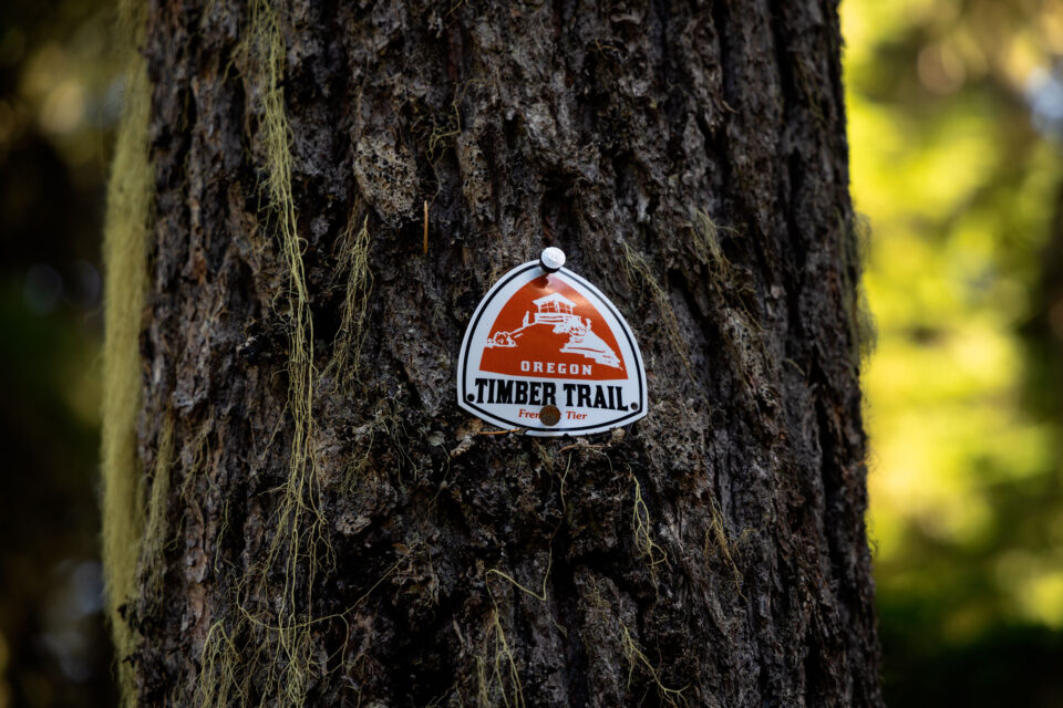 Cascadia Film Montanus