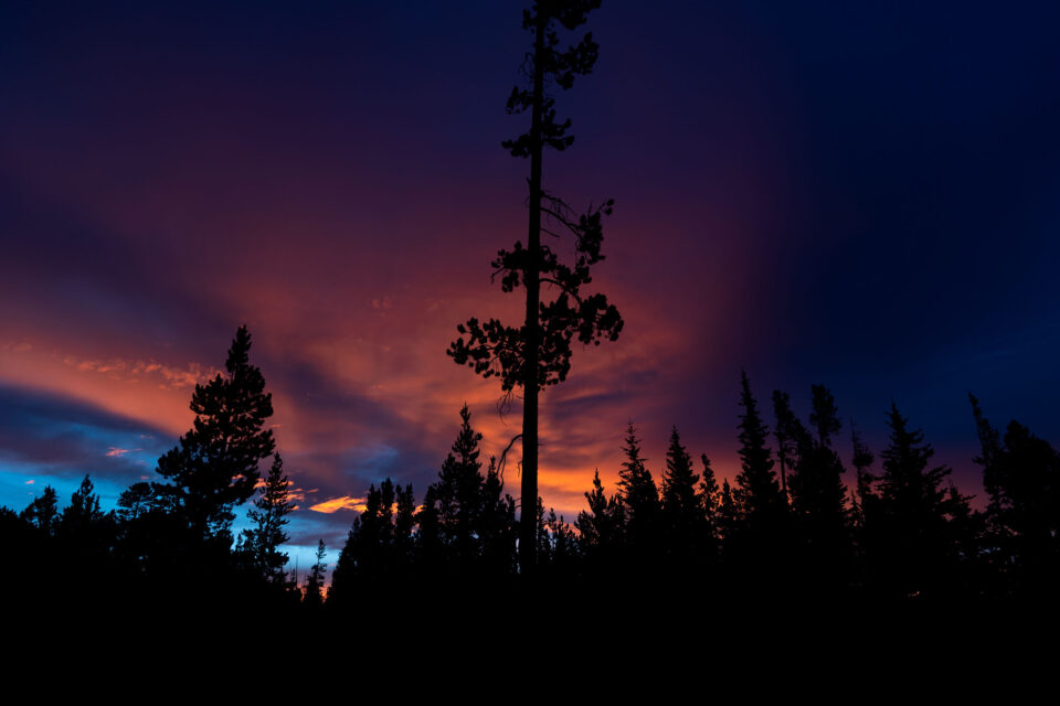 Cascadia Film Montanus