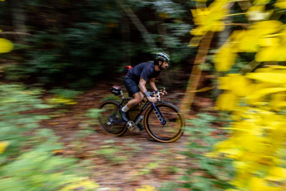 Fairlight Secan 3.0 Review