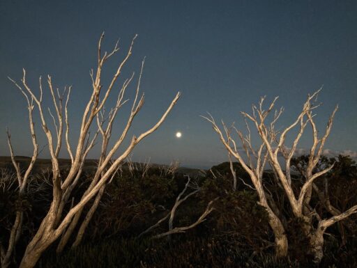 High Life Bikepacking Route, Victoria Australia