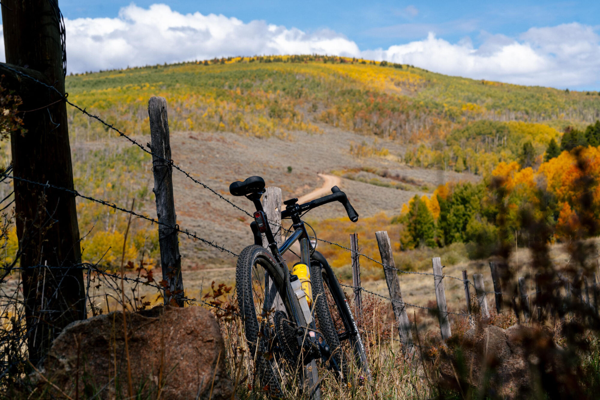 REEB Sams Pants Review