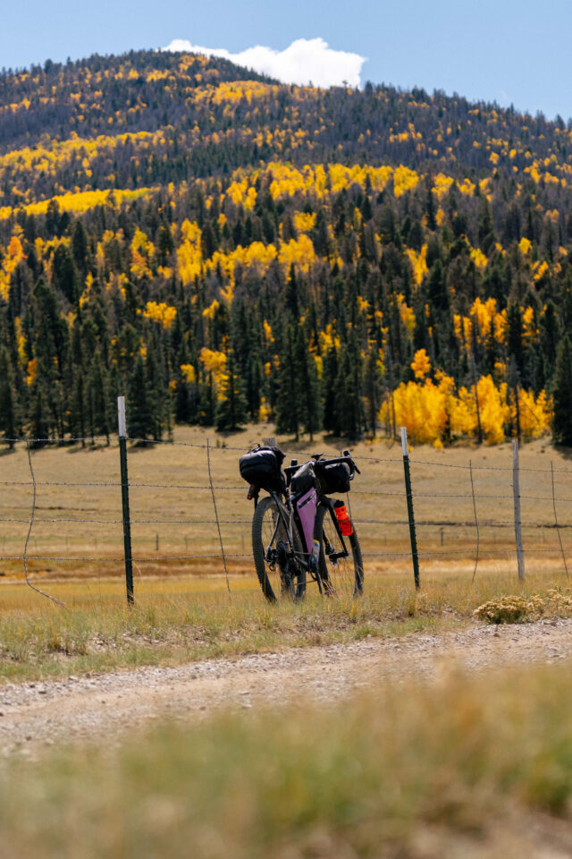 REEB Sams Pants Review