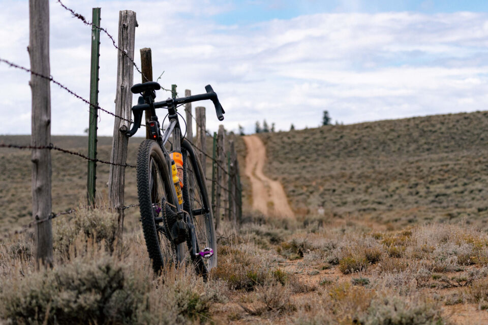 REEB Sams Pants Review