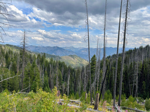 Salmon River Solitude bikepacking route