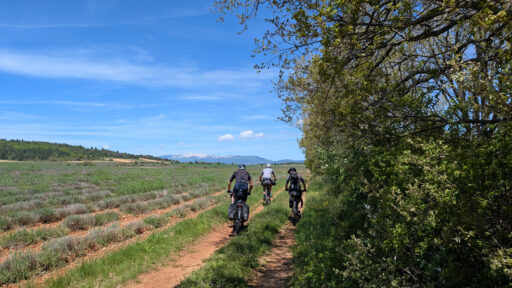Tour de Vaucluse Bikepacking Route