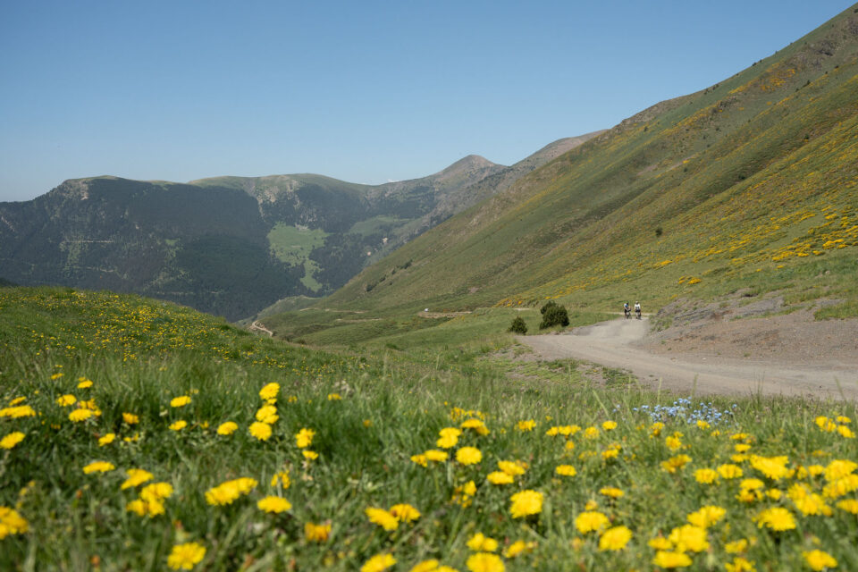 El Piri 2025 Zoe Hyatt