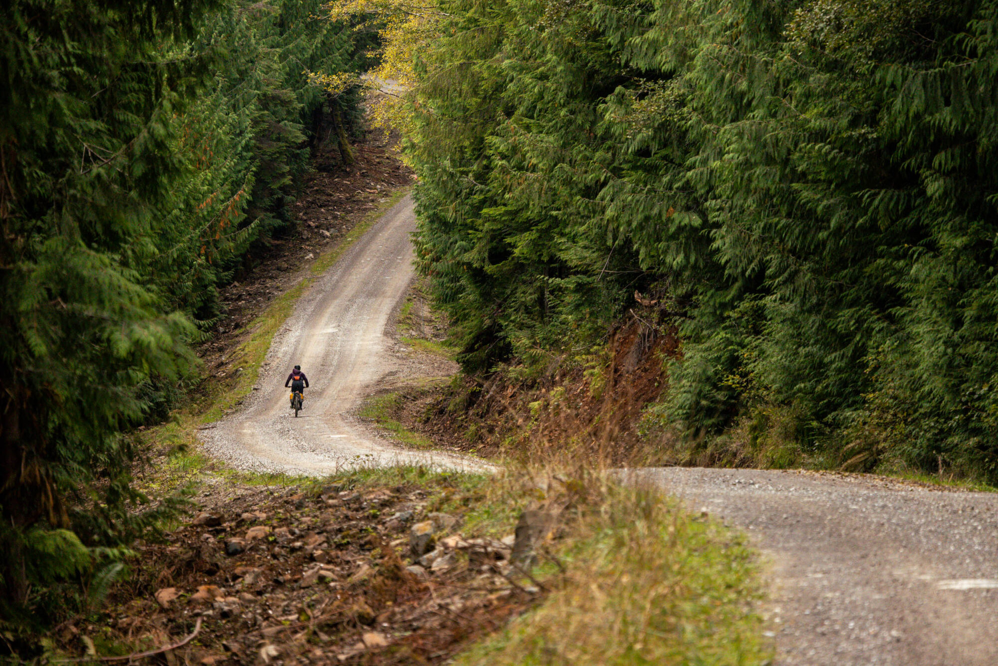 jeune landing loop, vancouver island