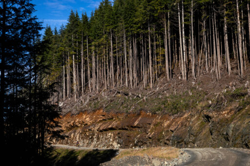 jeune landing loop, vancouver island