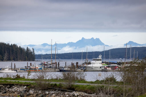jeune landing loop, vancouver island