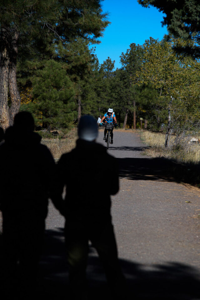 Karin Pocock 2025 AZTR