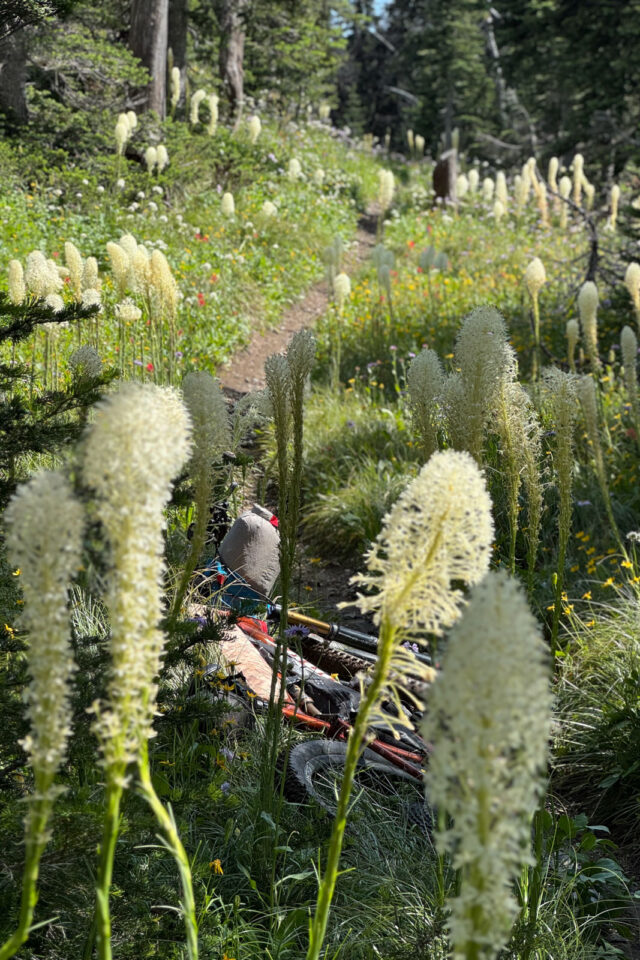 mark egge complete continental divide trail