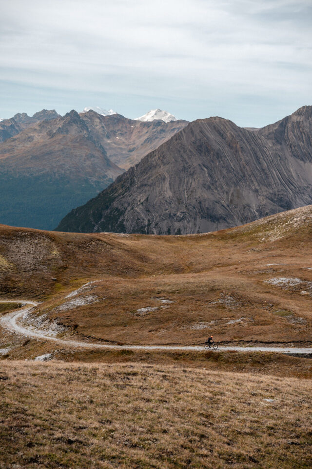 Sneak Peaks 2025 Recap