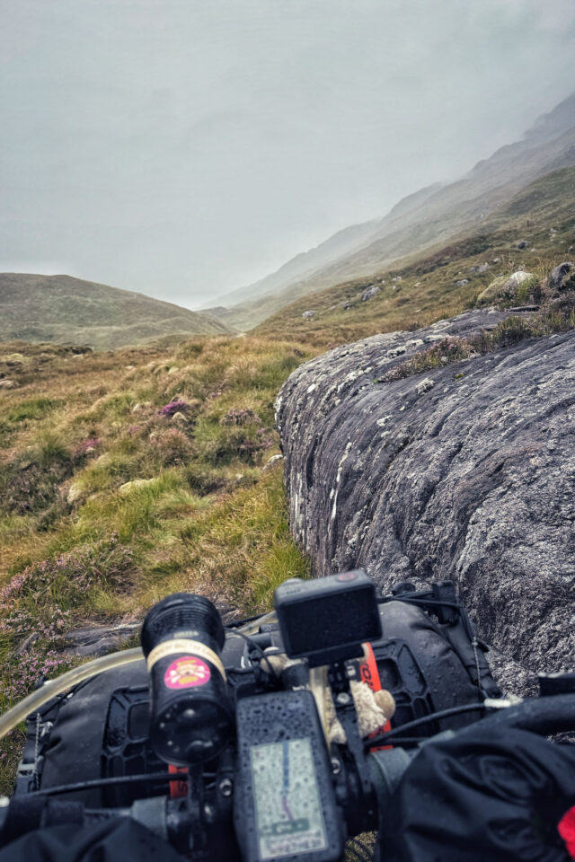 wildcat route allen video