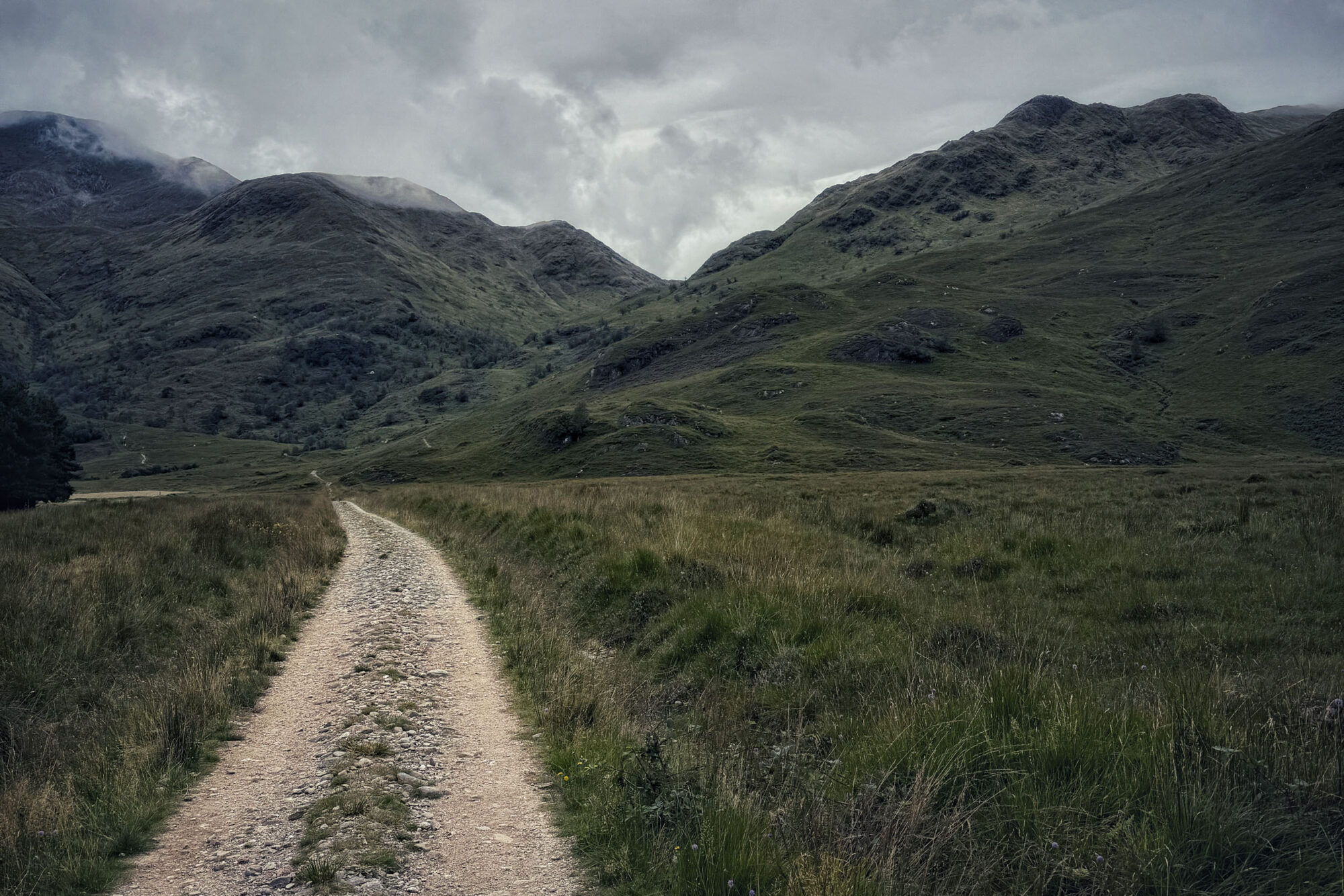 wildcat route allen video