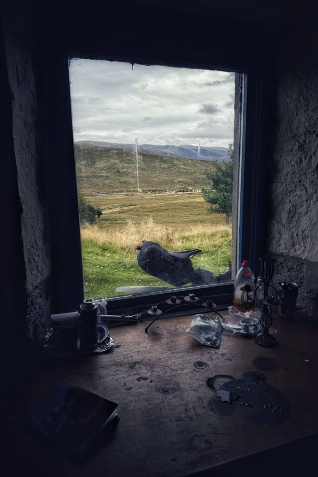 wildcat route allen video