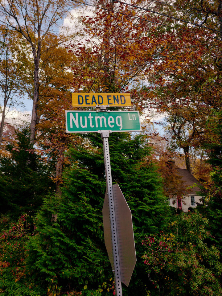 2025 Nutmeg Nor’Easter