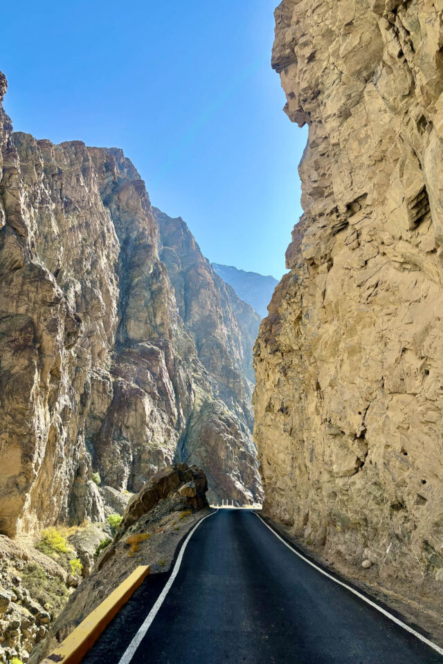 Back to Basics Allan Shaw