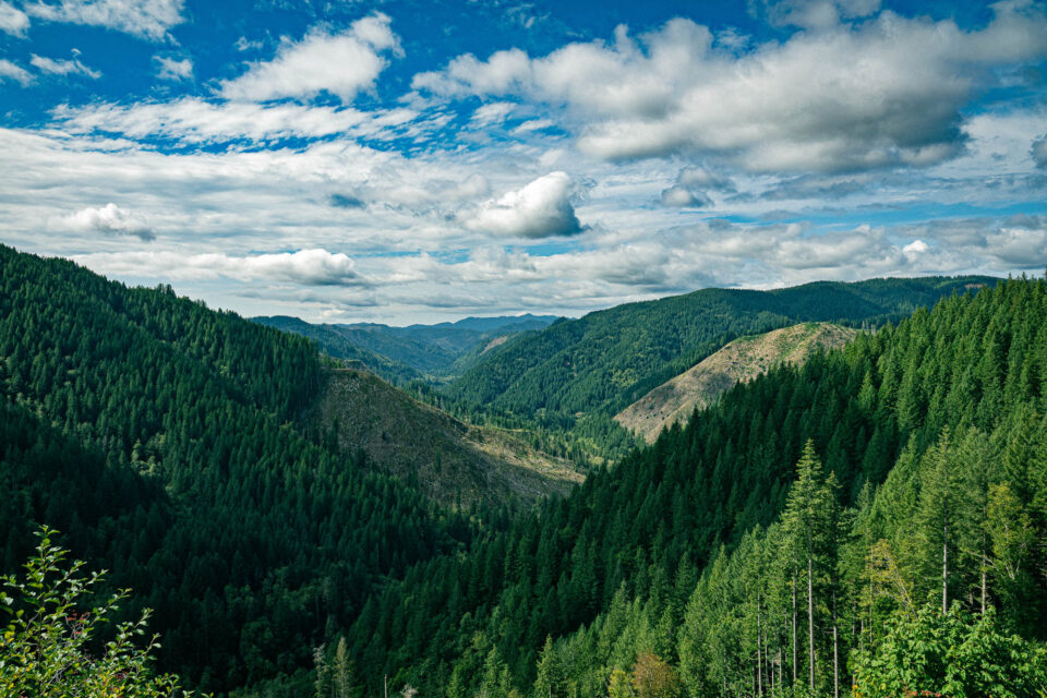 Odyssy of the VOG, Bikepacking Oregon coast