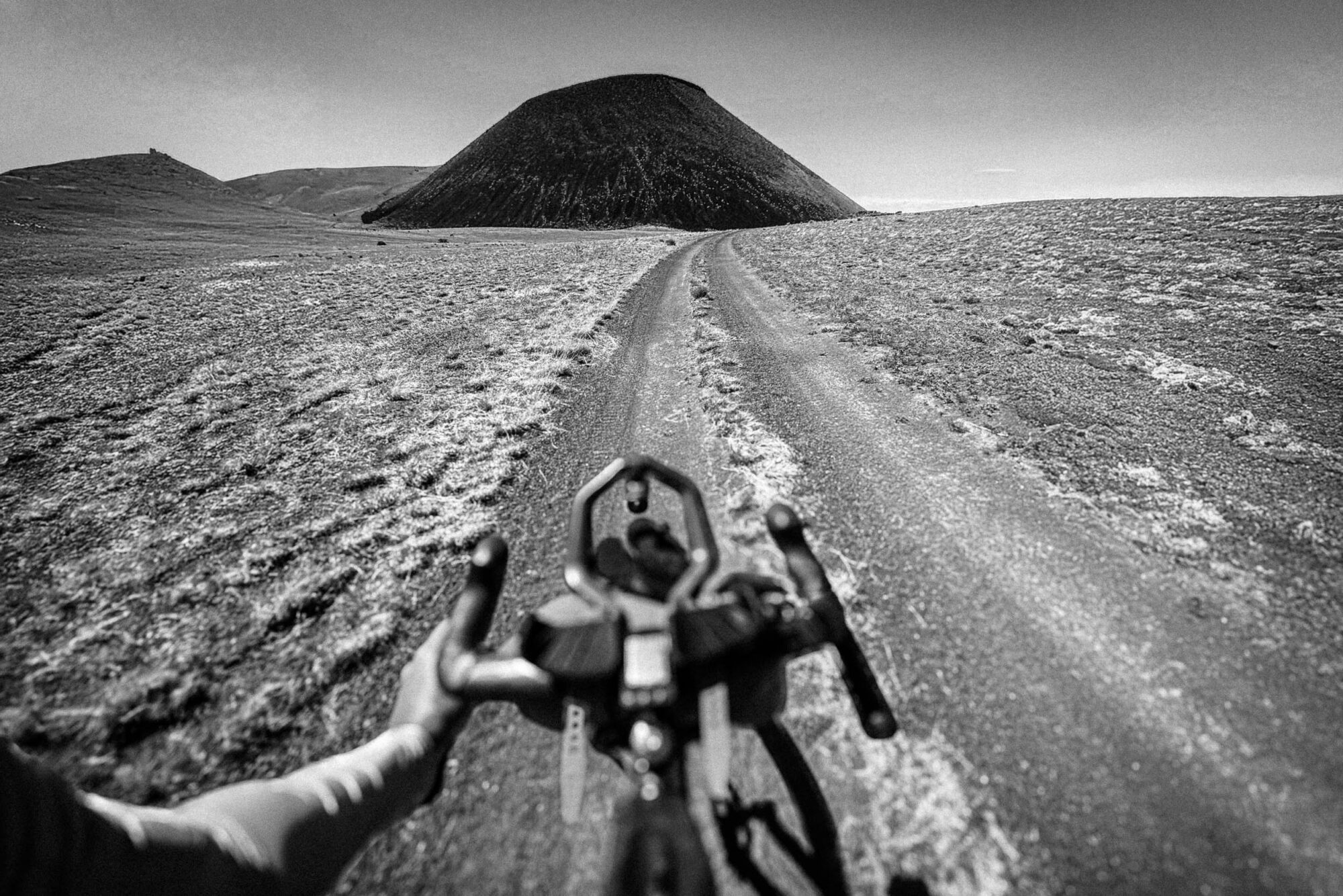 Pinyons, Lions, Pines, and Doubt