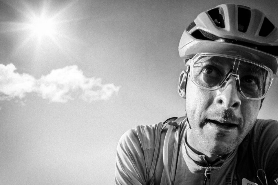 Pinyons, Lions, Pines, and Doubt