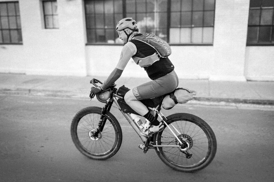 Pinyons, Lions, Pines, and Doubt