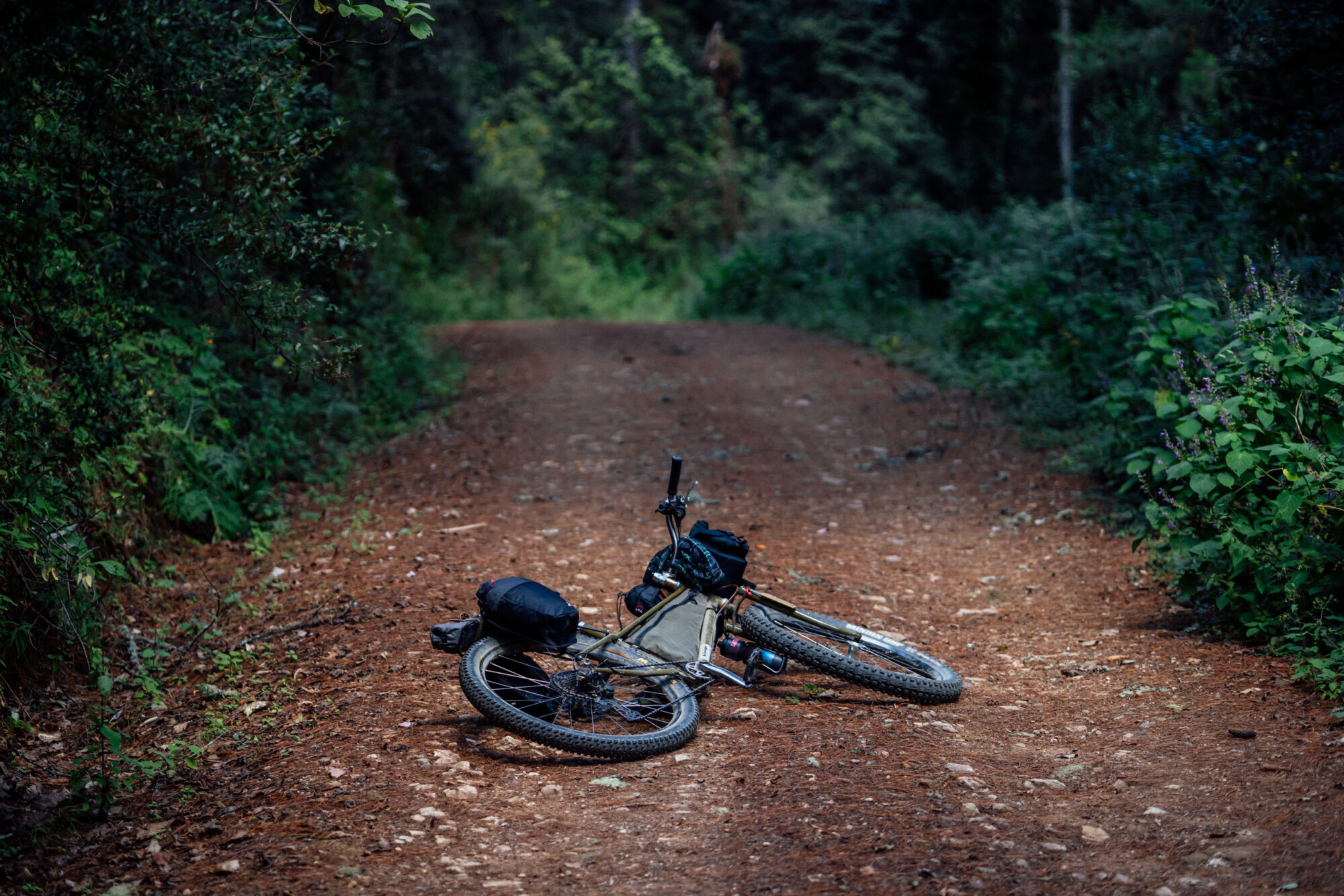 Revelate Designs Portage Panniers Review