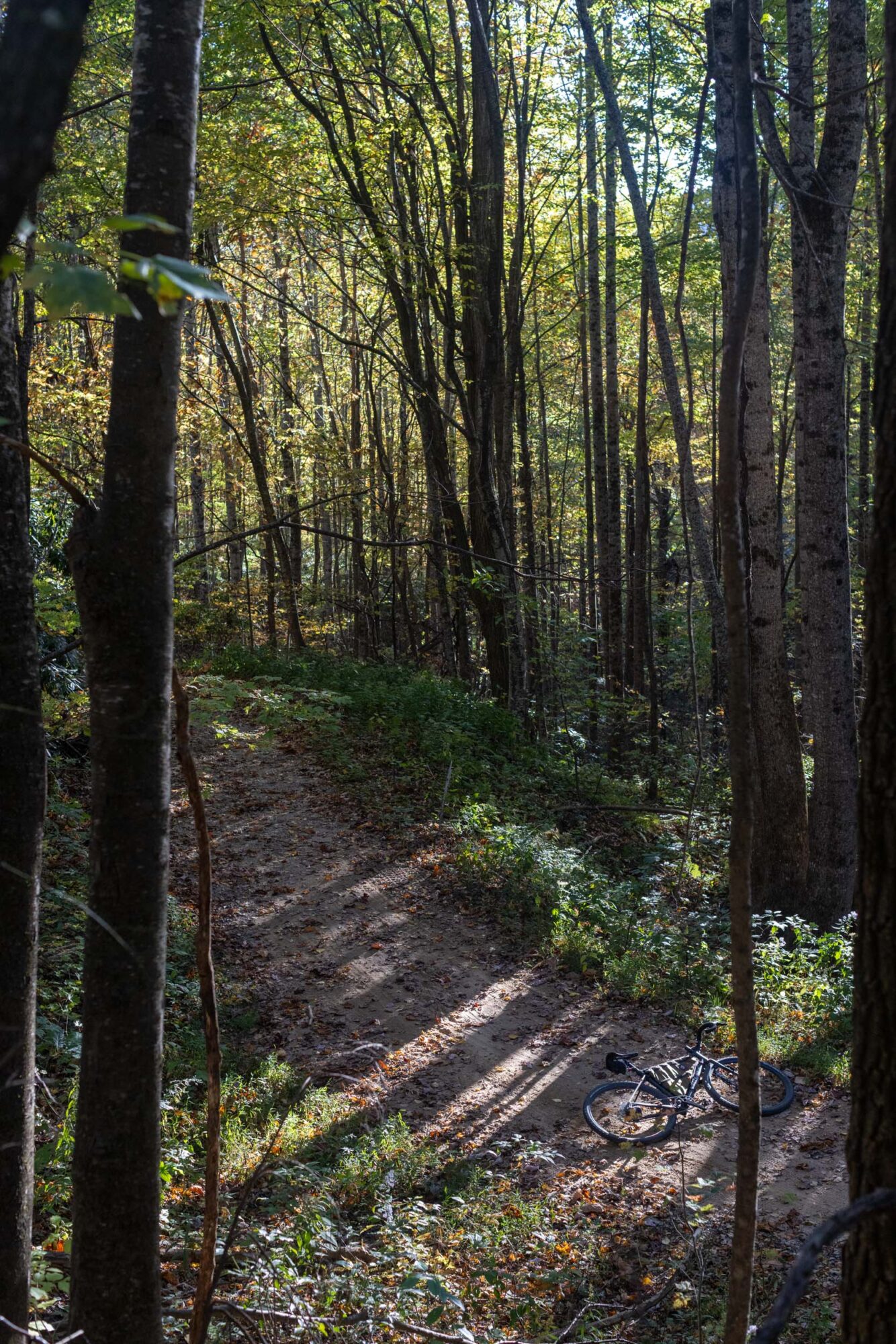 Ritchey Septimer Review