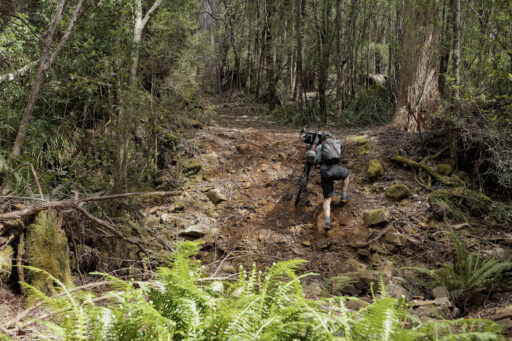 Tassie Traverse bikepacking route