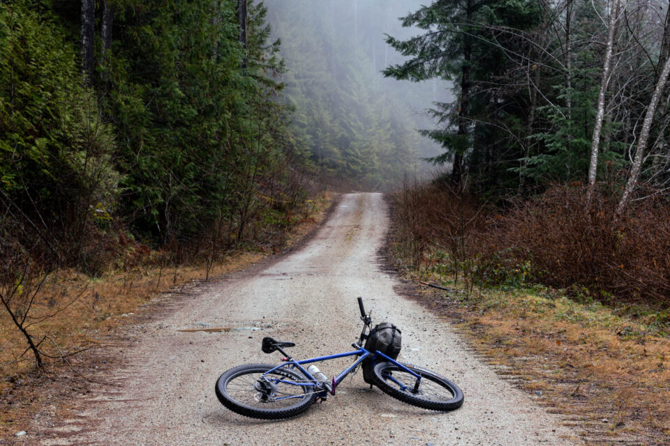 buffalo bags big buffalo review