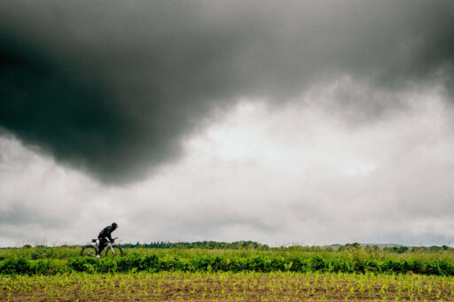 Hamburgs Backyard 2026