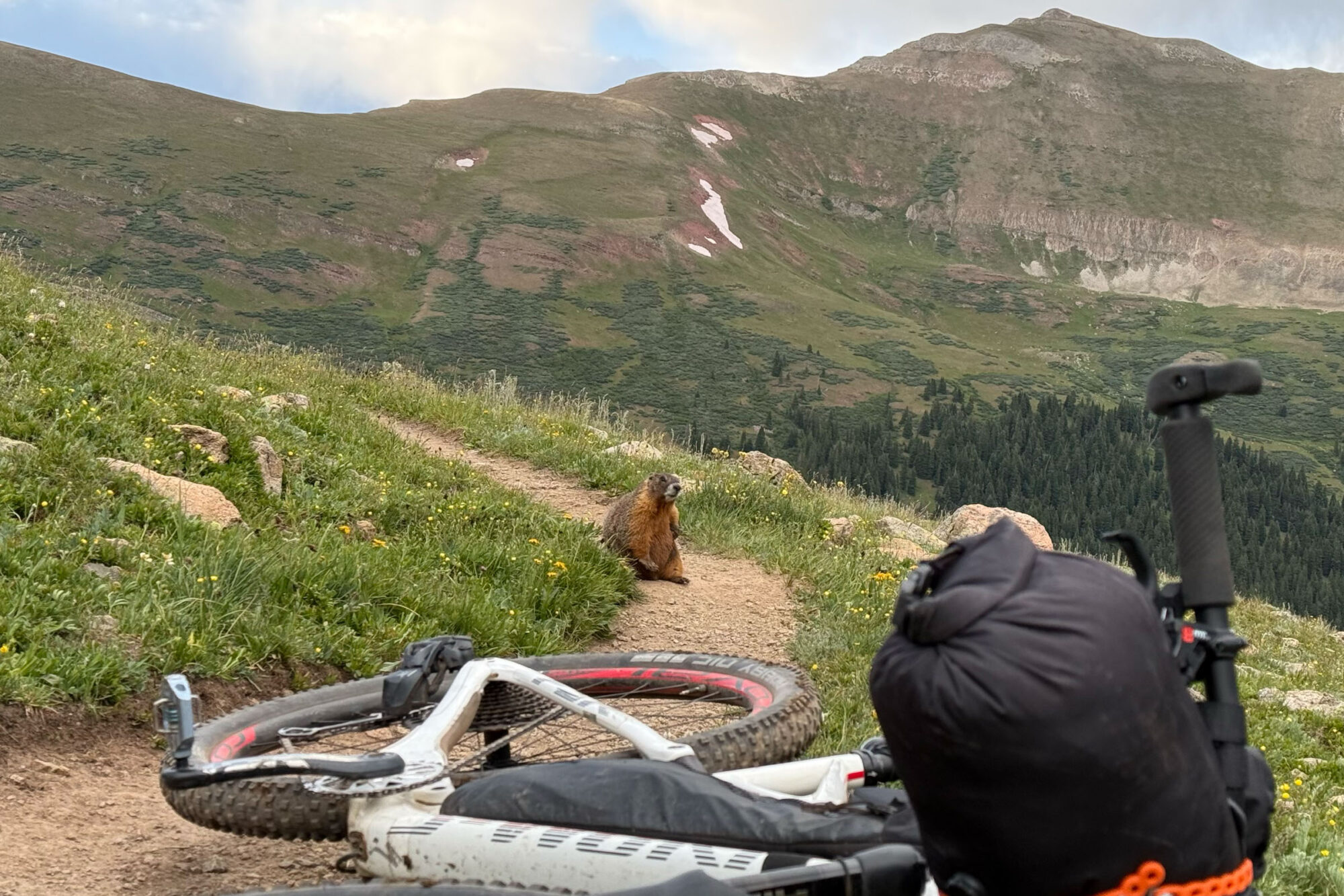 highs lows colorado trail 