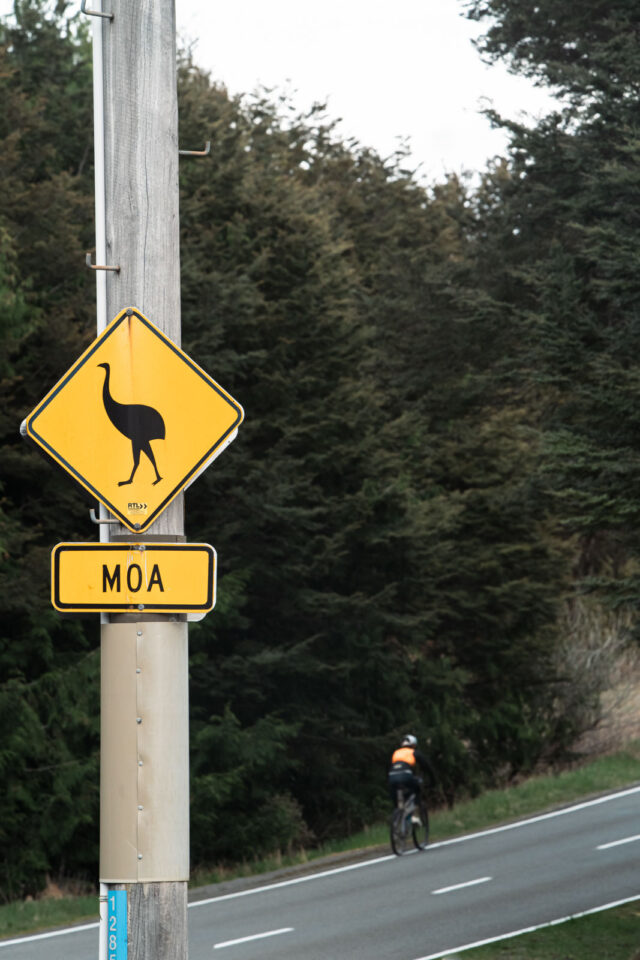 project double shake nz