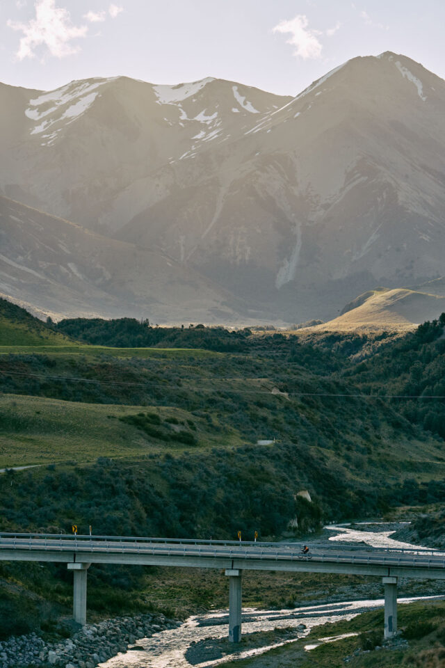 project double shake nz